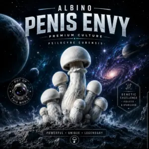 Albino Penis Envy isolated spore syringe