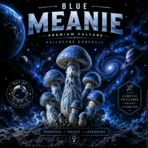 Blue Meanie isolated spore syringe
